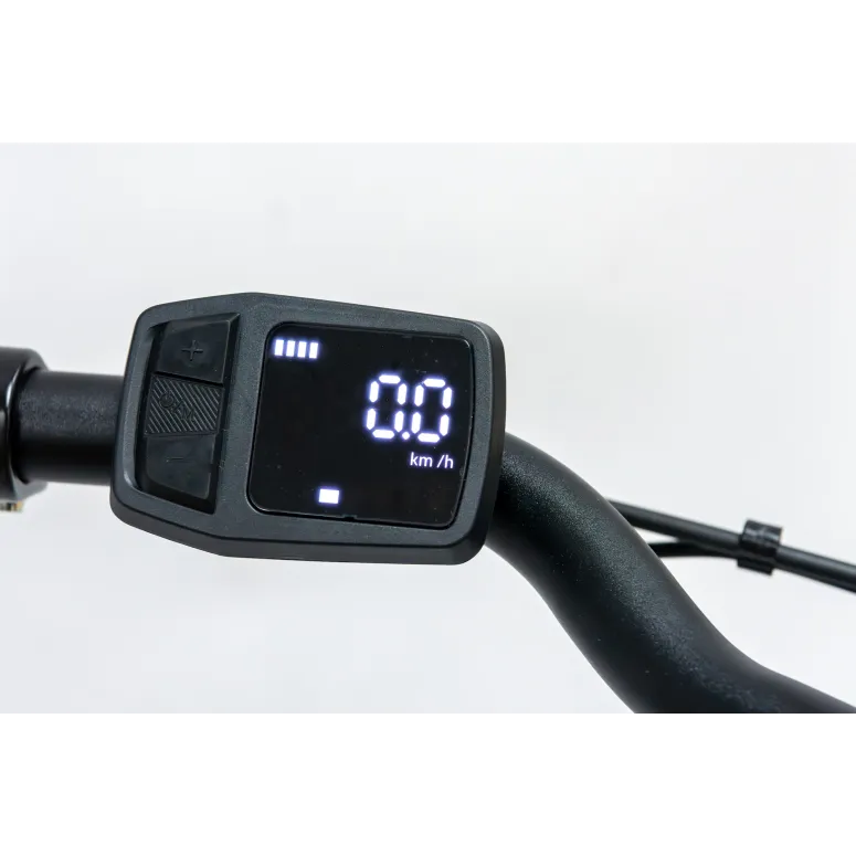 Rower Elektryczny Damski Miejski 28 LCD 250 W SHIMANO Nexus Aluminium Amory