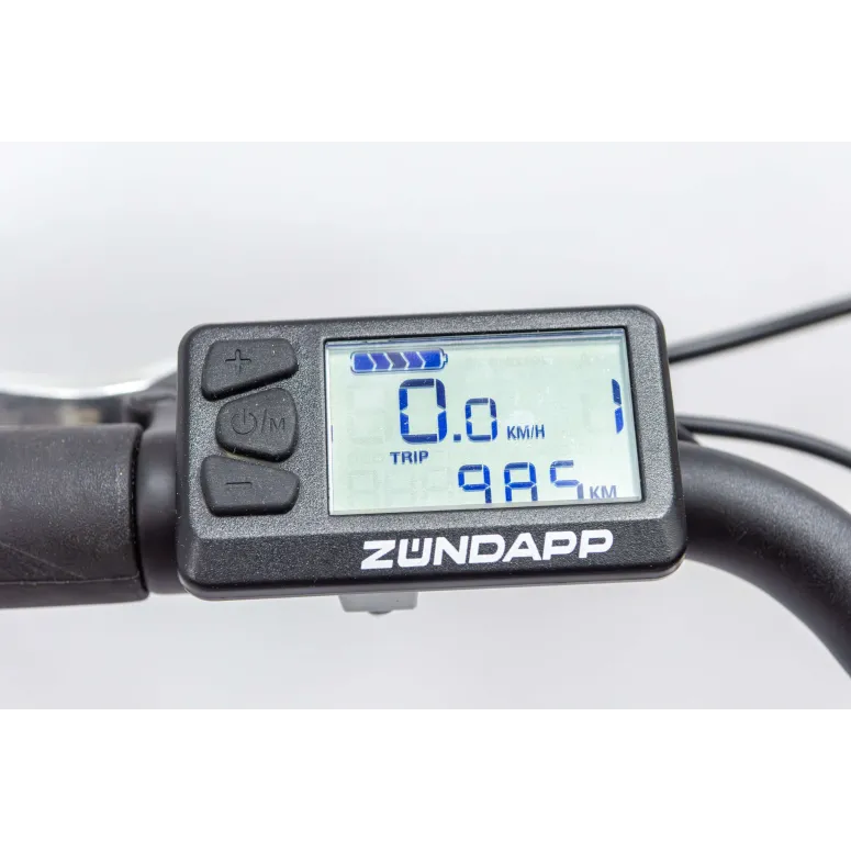 Rower Elektryczny Damski Miejski 28 SHIMANO Nexus 250 W LCD Aluminium Amory