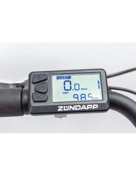 Rower Elektryczny Damski Miejski 28 SHIMANO Nexus 250 W LCD Aluminium Amory