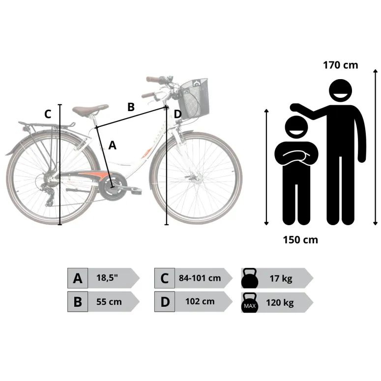 Rower Damski Miejski 28 SHIMANO Oświetlenie Dynamo Koszyk Bagażnik Błotniki