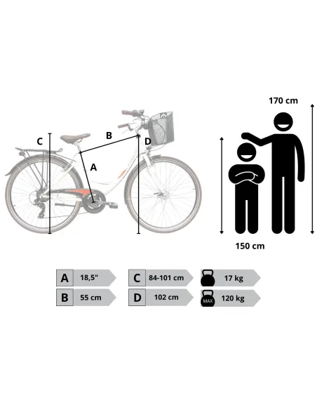 Rower Damski Miejski 28 SHIMANO Oświetlenie Dynamo Koszyk Bagażnik Błotniki
