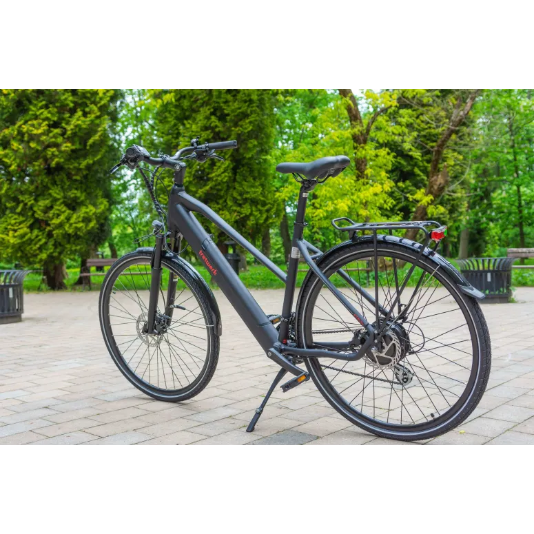 Rower Elektryczny Trekkingowy Tretwerk Seville 5.0, Koła 28"