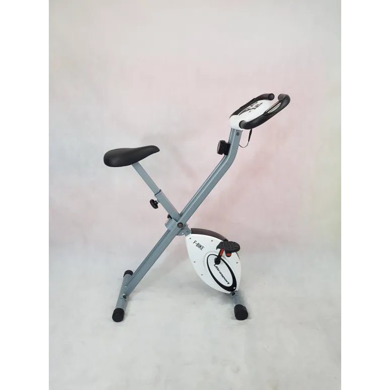 Rowerek Stacjonarny Ultrasport F-bike Magnetyczny