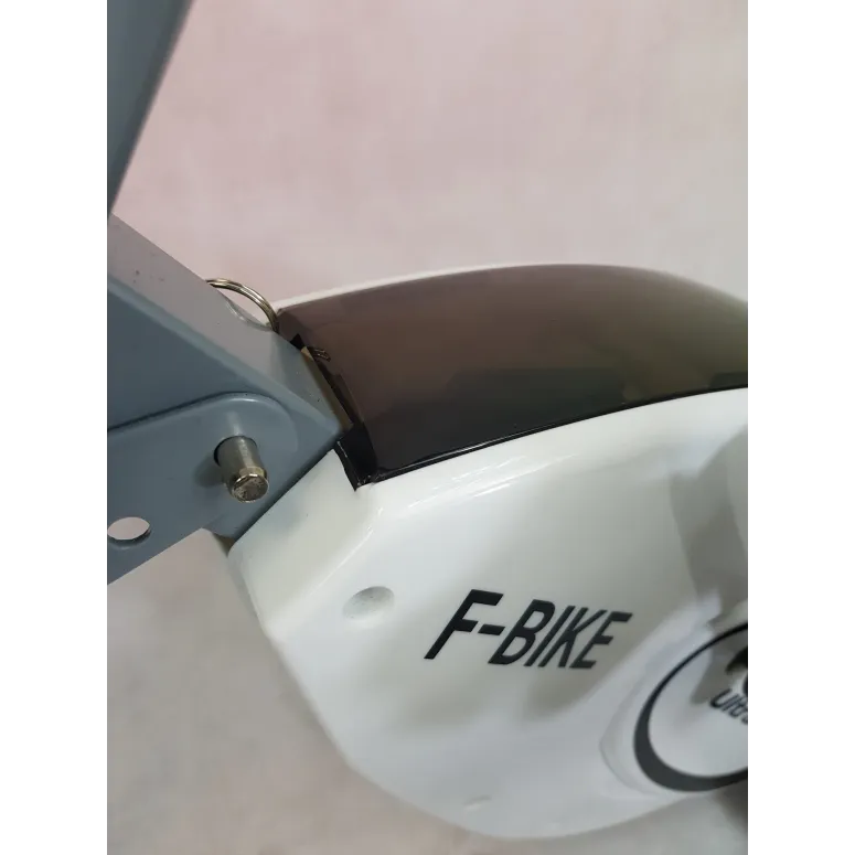 Rower Stacjonarny Ultrasport F-Bike Magnetyczny