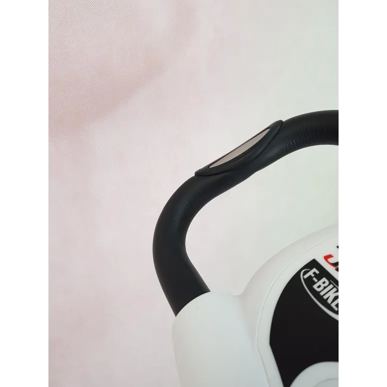 Rower Stacjonarny Ultrasport F-Bike Magnetyczny