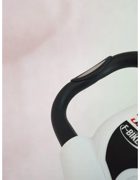 Rower Stacjonarny Ultrasport F-Bike Magnetyczny