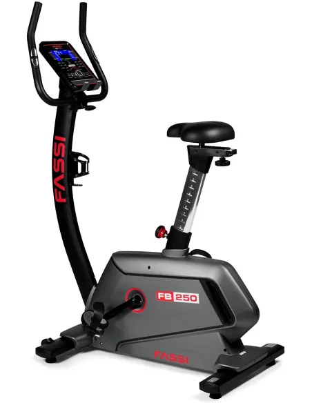 Rower Stacjonarny FASSI FB 250 Magnetyczny Pionowy