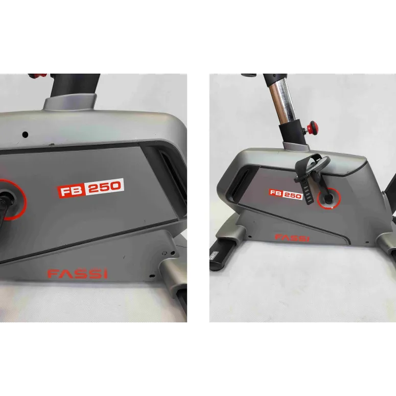 Rower Stacjonarny FASSI FB 250 Magnetyczny Pionowy