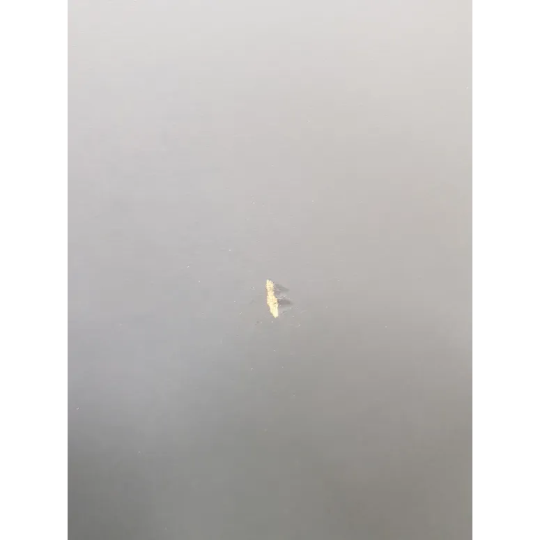 Stół Do Tenisa Stołowego PingPong Cornilleau 500 Indoor Szary Składany