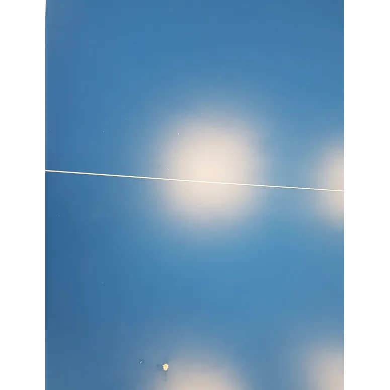 Stoł Do Tenisa Stołowego Joola Rally Outdoor Składany Z Siatką Ping Pong