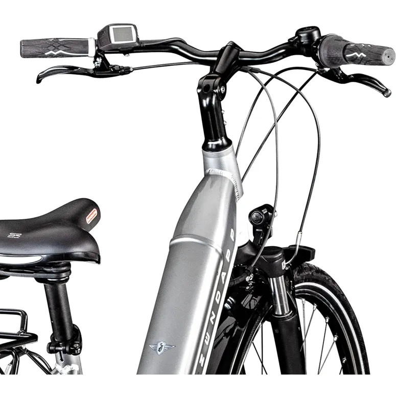 Elektryczny Rower Miejski 28 Nexus 7 Bosch 250W - 3