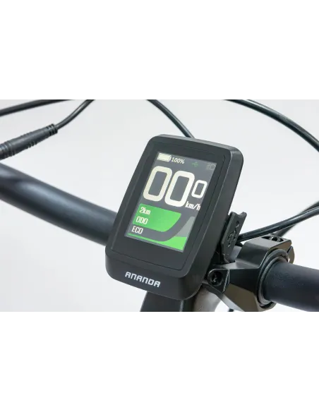 Rower Elektryczny Damski Miejski 26 SHIMANO Nexus LCD 250 W Aplikacja Pilot