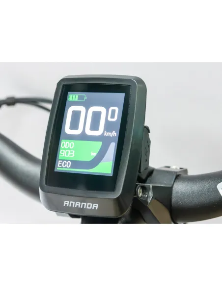 Rower Elektryczny Damski Trekkingowy 28" SHIMANO Hydraulika 250 W LCD Amory