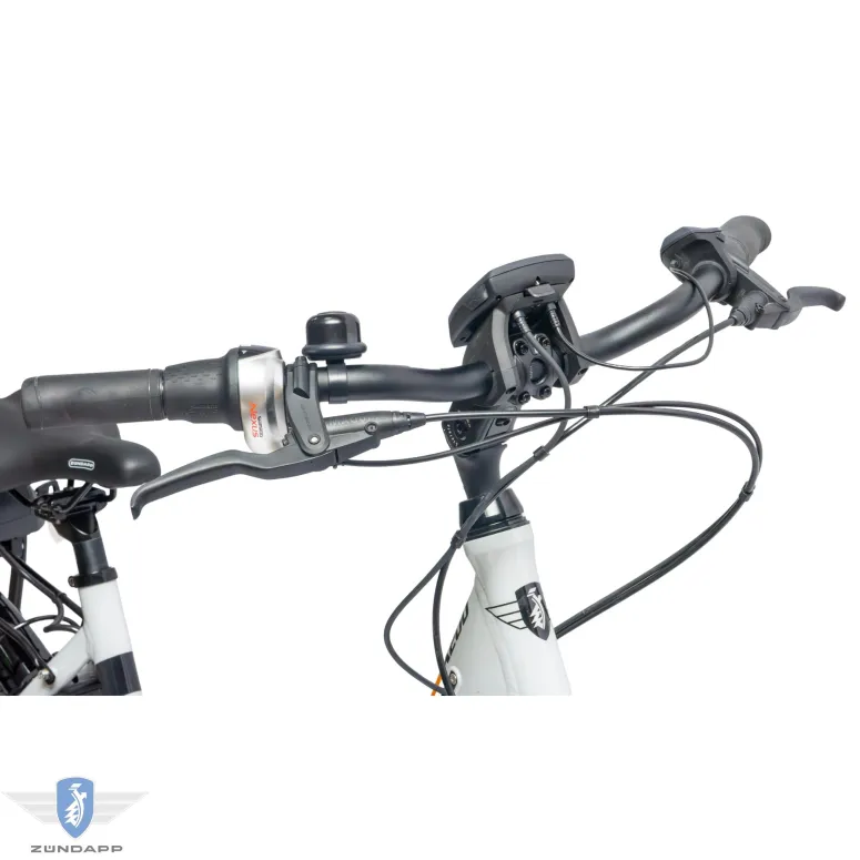 Rower Elektryczny Damski Trekkingowy 28" SHIMANO Nexus 250 W Alu LCD BOSCH