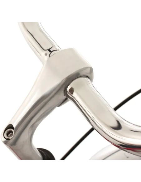 Miejski Rower Retro Damka 28 Sakwy Oświetlenie - 4