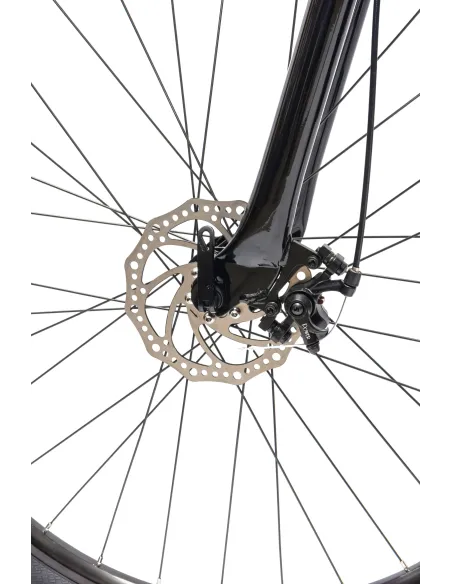 Rower Męski Górski 29" MTB IWOBIKE Shimano Hardtail Amortyzacja Tarcze 2025