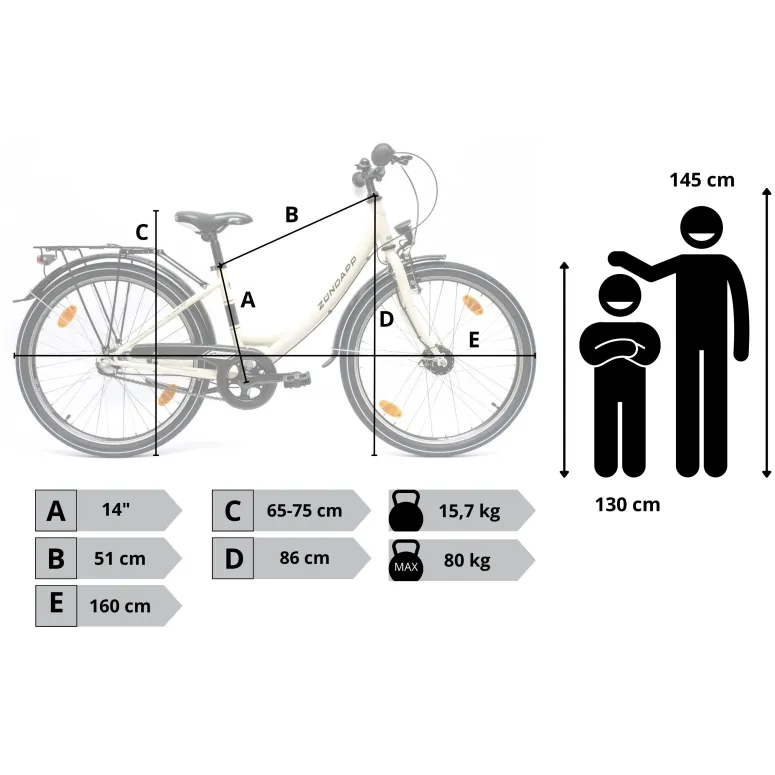Rower Dziewczęcy Miejski 24" Junior SHIMANO Nexus Oświetlenie Dynamo Stopka