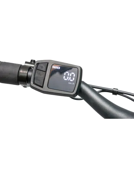 Rower Elektryczny Damski Trekkingowy SHIMANO Nexus LCD 250 W Aluminiowy