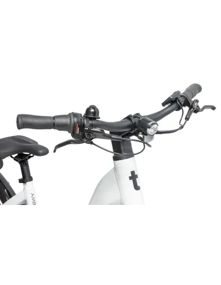 Rower Elektryczny Damski Trekkingowy SHIMANO Nexus LCD 250 W Aluminiowy