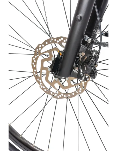 Rower Elektryczny Damski Trekkingowy SHIMANO Nexus LCD 250 W Aluminiowy