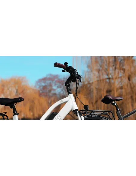 Rower Elektryczny Męski Damski Miejski Koła 26" SHIMANO Hydraulika 13 Ah