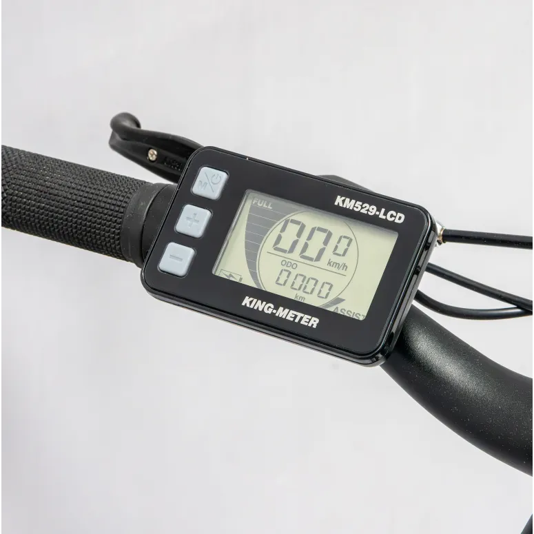 Rower Elektryczny Męski Trekkingowy Koła 28" LCD 250 W Aluminium Tarcze