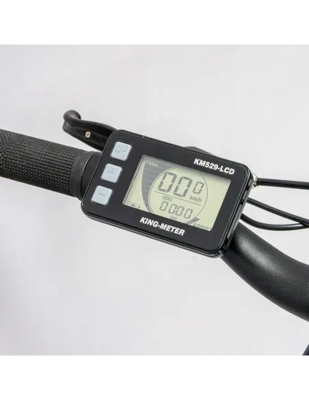 Rower Elektryczny Męski Trekkingowy Koła 28" LCD 250 W Aluminium Tarcze