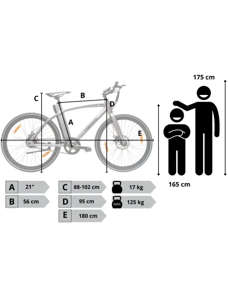 Rower Elektryczny Męski Trekkingowy Koła 28" LCD 250 W Aluminium Tarcze