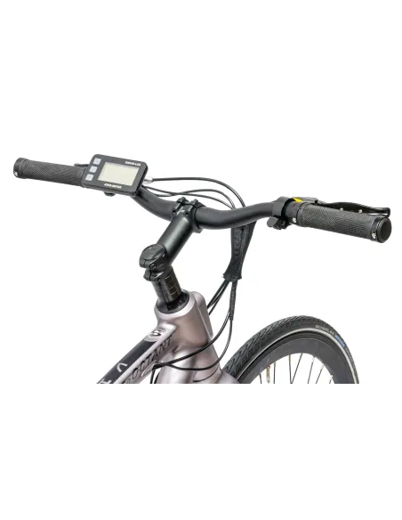 Rower Elektryczny Męski Trekkingowy Koła 28" LCD 250 W Aluminium Tarcze