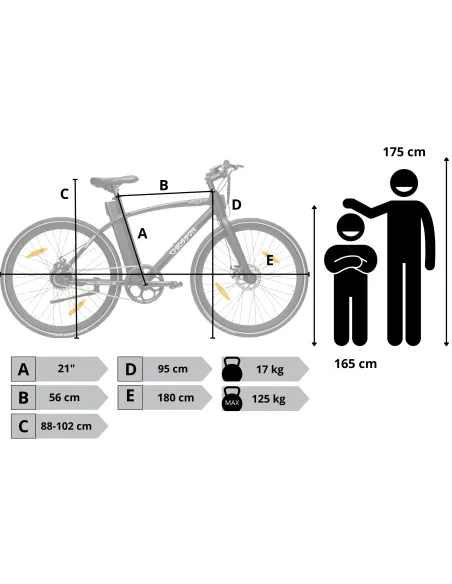 Rower Elektryczny Męski Trekkingowy Koła 28" Aluminium LCD 250 W Tarcze
