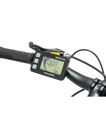 Rower Elektryczny Męski Trekkingowy Koła 28" Aluminium LCD 250 W Tarcze