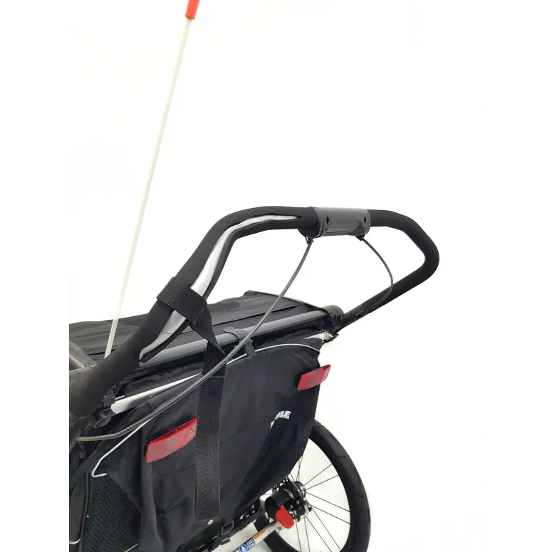 Przyczepka Rowerowa Thule Chariot Sport 2 Double Dla Dzieci Wielofunkcyjna