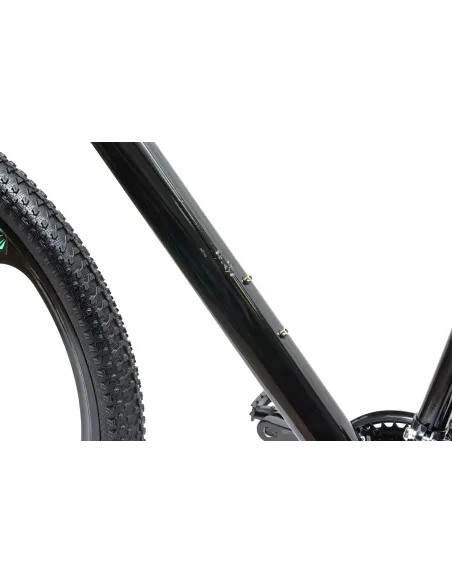 Rower Górski IwoBike MintRider Koła 29"