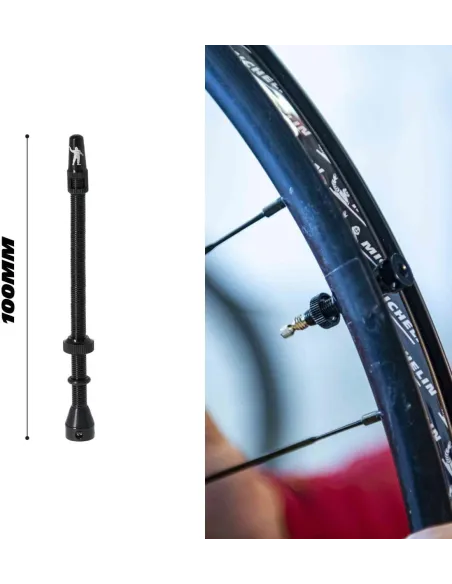 Zawór Bezdętkowy Michelin Valve 2 100 mm SZTUKI Czarny