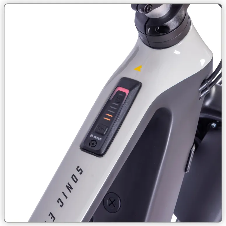 Rower Elektryczny Bulls Sonic Evo AM SX1 29"
