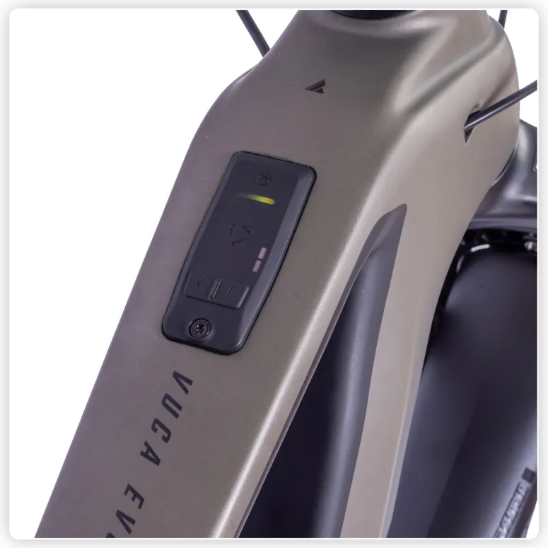 Rower Elektryczny MTB Bulls VUCA EVO AM 1 29”