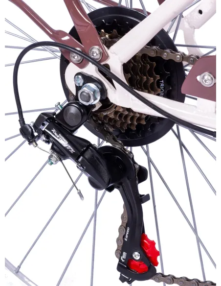 Rower Miejski IwoBike Biscotti 28”