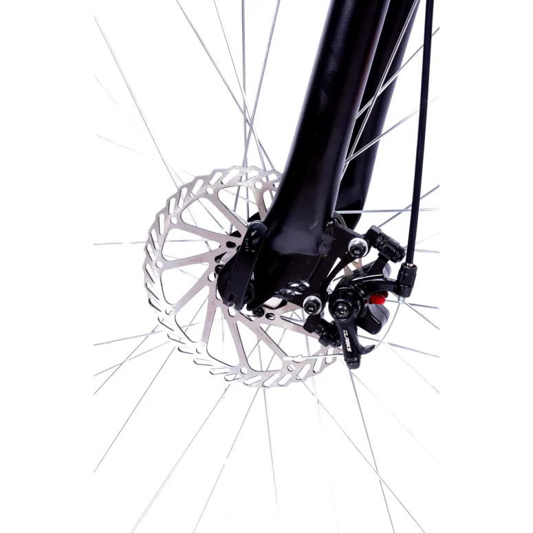Rower Górski MTB Ks Cycling WYLD Sharp, 29"