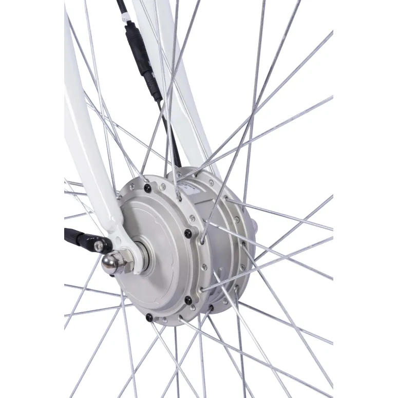 Rower Elektryczny Miejski F.lli Schiano E-Moon 26"