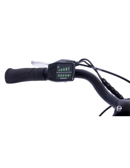 Rower Elektryczny Miejski F.lli Schiano E-Moon 26"
