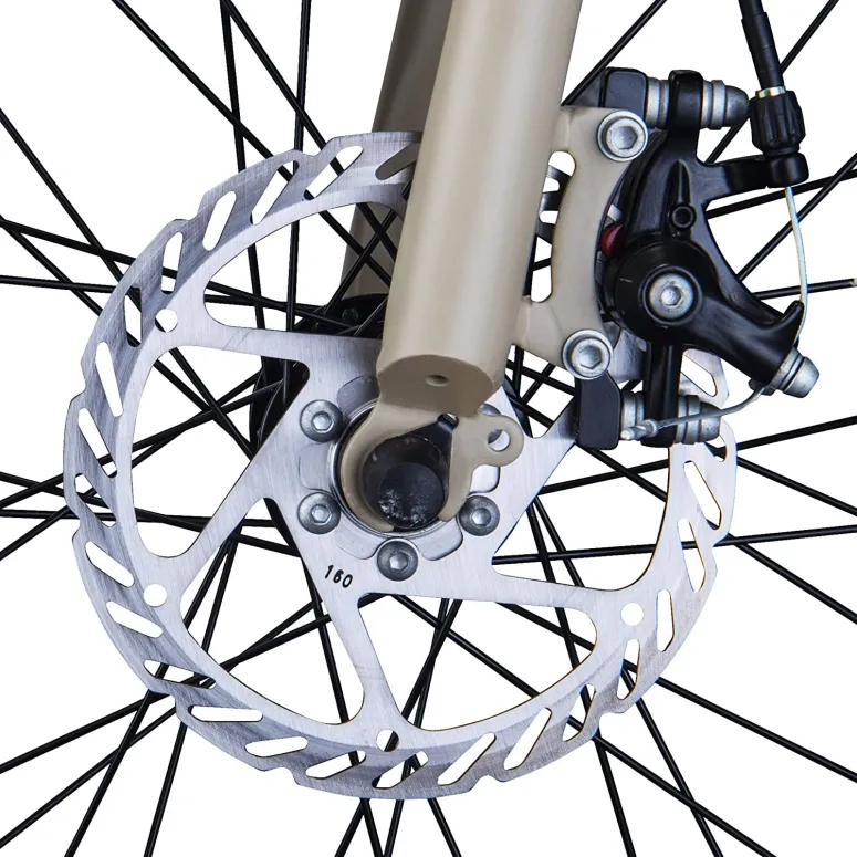 Rower Elektryczny Składany 20 Fatbike Tarcze 250W - 3