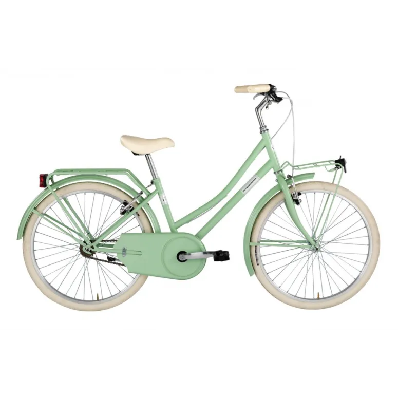 Dziewczęcy Rower Miejski Jednobiegowy 24 Bagażniki - 1