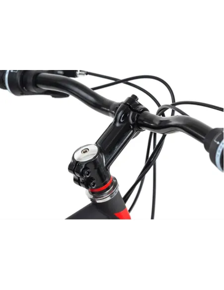 Rower Górski 29 Męski Tarcze 21 Bieg Amortyzacja - 2