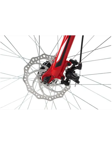 Rower Górski 29 Męski Tarcze 21 Bieg Amortyzacja - 4