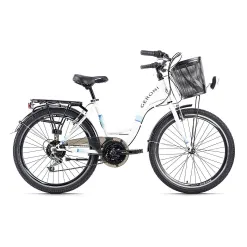 Miejski Rower Dziewczęcy 24 Damka 21 Bieg Bagażnik