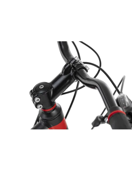 Rower Górski Męski 29 Amortyzowany 21 Biegów ALU - 2