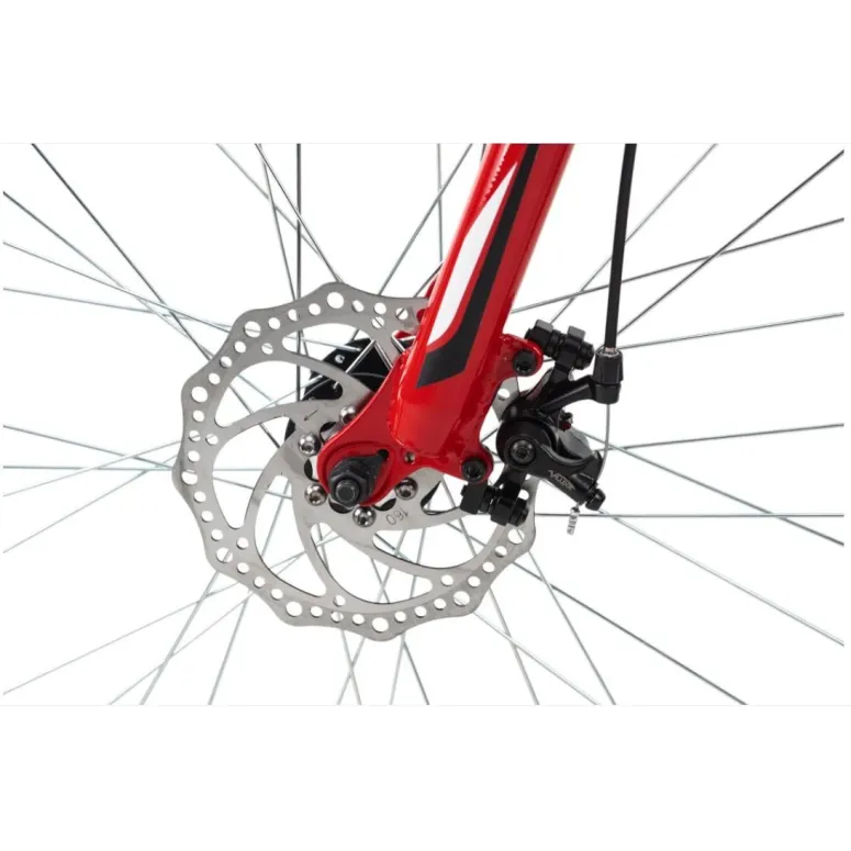 Rower Górski 29 Męski Tarcze 21 Bieg Amortyzacja - 3