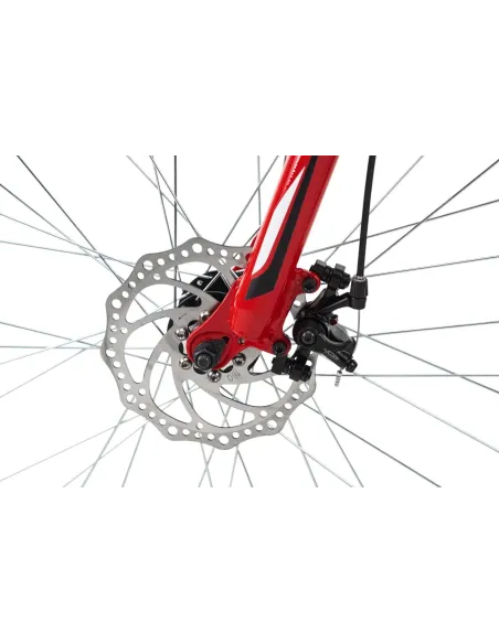 Rower Górski Terenowy Męski 29 Tarcze Amortyzacja - 3