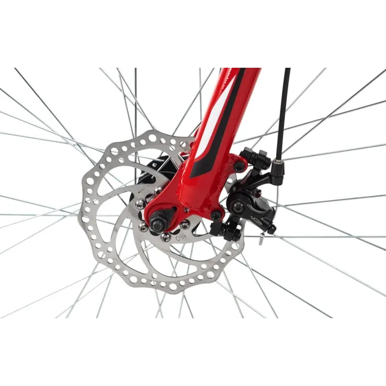 Rower Górski Męski 29 MTB Amortyzacja Tarcze ALU - 4