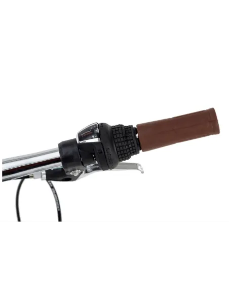 Rower Trekkingowy Męski 28 Światła Bagażnik Shimano V-brake Rama 21 Retro